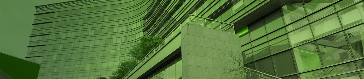 Banner Image - Glass Earth sitting in a hand over tall grass