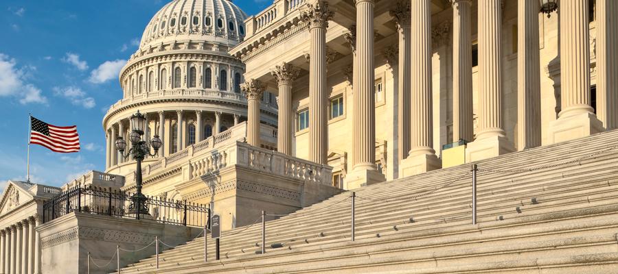 US Capitol with flag 900 x 400