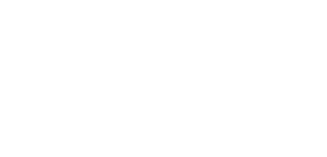 ashe site logo